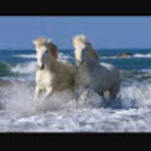 Meet your Posher, Romeo